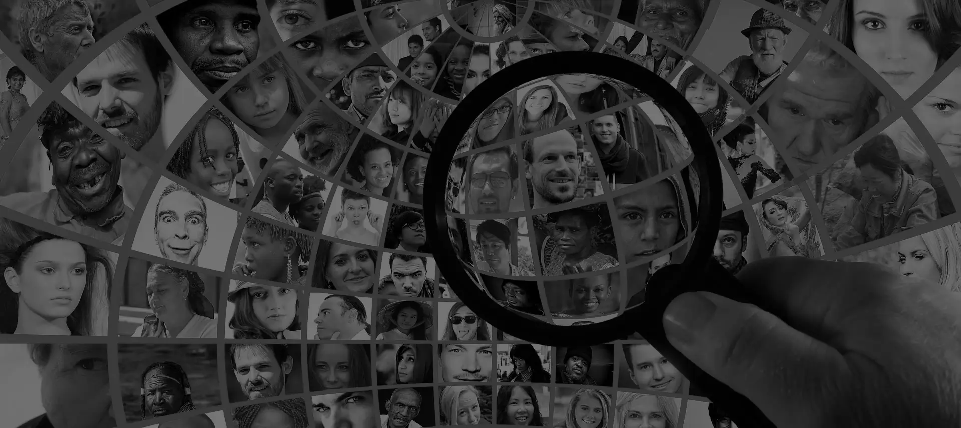 Background Investigations